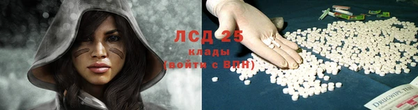 ГАЛЛЮЦИНОГЕННЫЕ ГРИБЫ Карталы