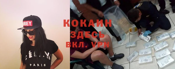 мдпв Аркадак