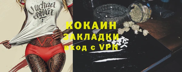 дурь Краснослободск