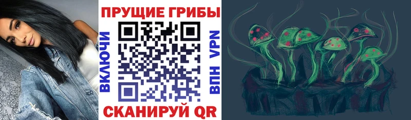 Галлюциногенные грибы Psilocybe закладки Гремячинск